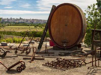 In un angolo riposano un vecchio torchio, alcuni antichi aratri e delle botti ornamentali